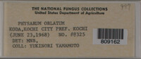 Image Associated With the Occurence